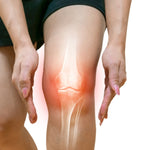 กระดูกและข้อต่อ