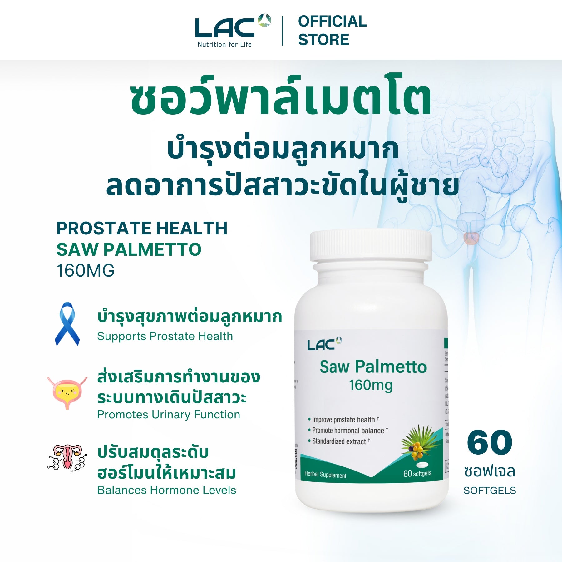 เห็นต้นปาล์ม