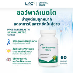 เห็นต้นปาล์ม