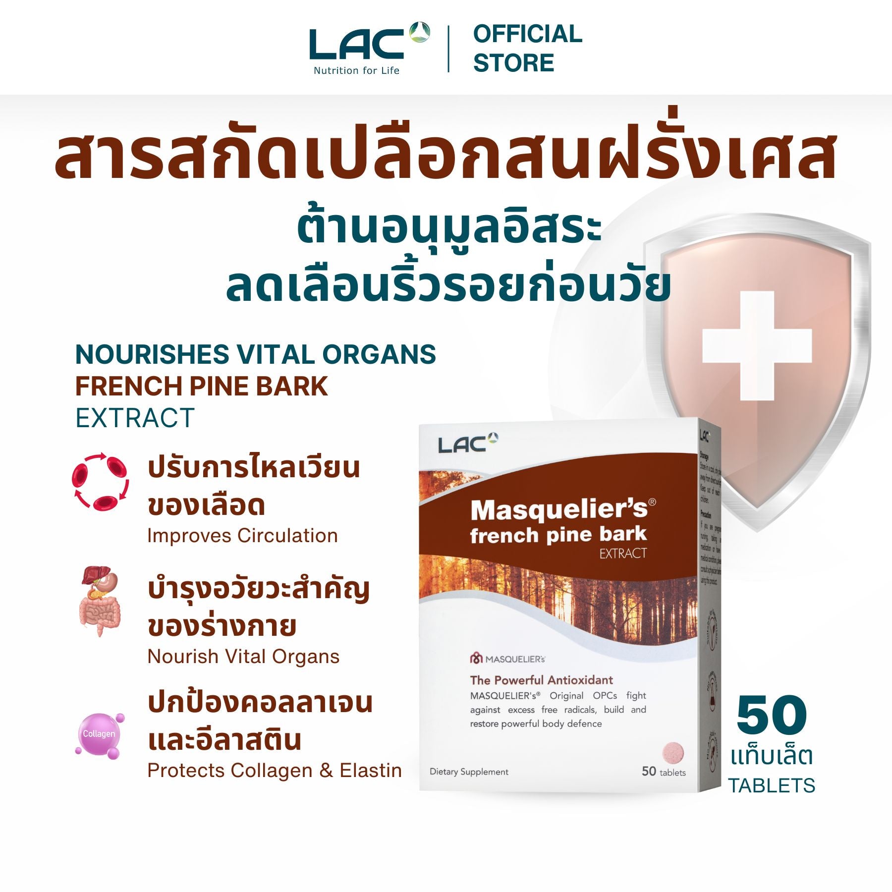สารสกัดเปลือกไม้สนฝรั่งเศส - สารต้านอนุมูลอิสระที่ทรงพลัง