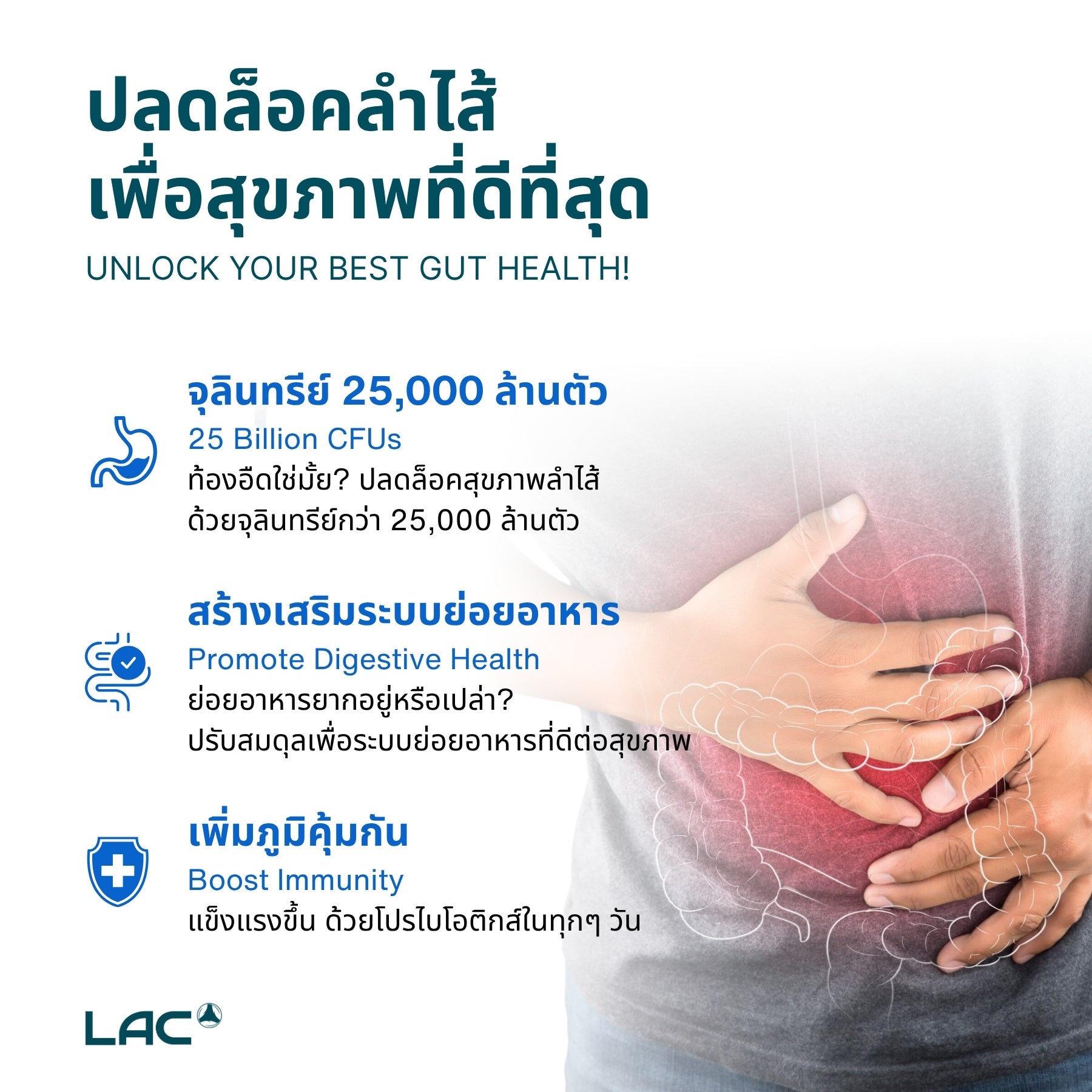 โปรไบโอติกคอมเพล็กซ์ 25 พันล้าน CFU - การสนับสนุนรายวัน
