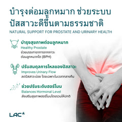 เห็นต้นปาล์ม