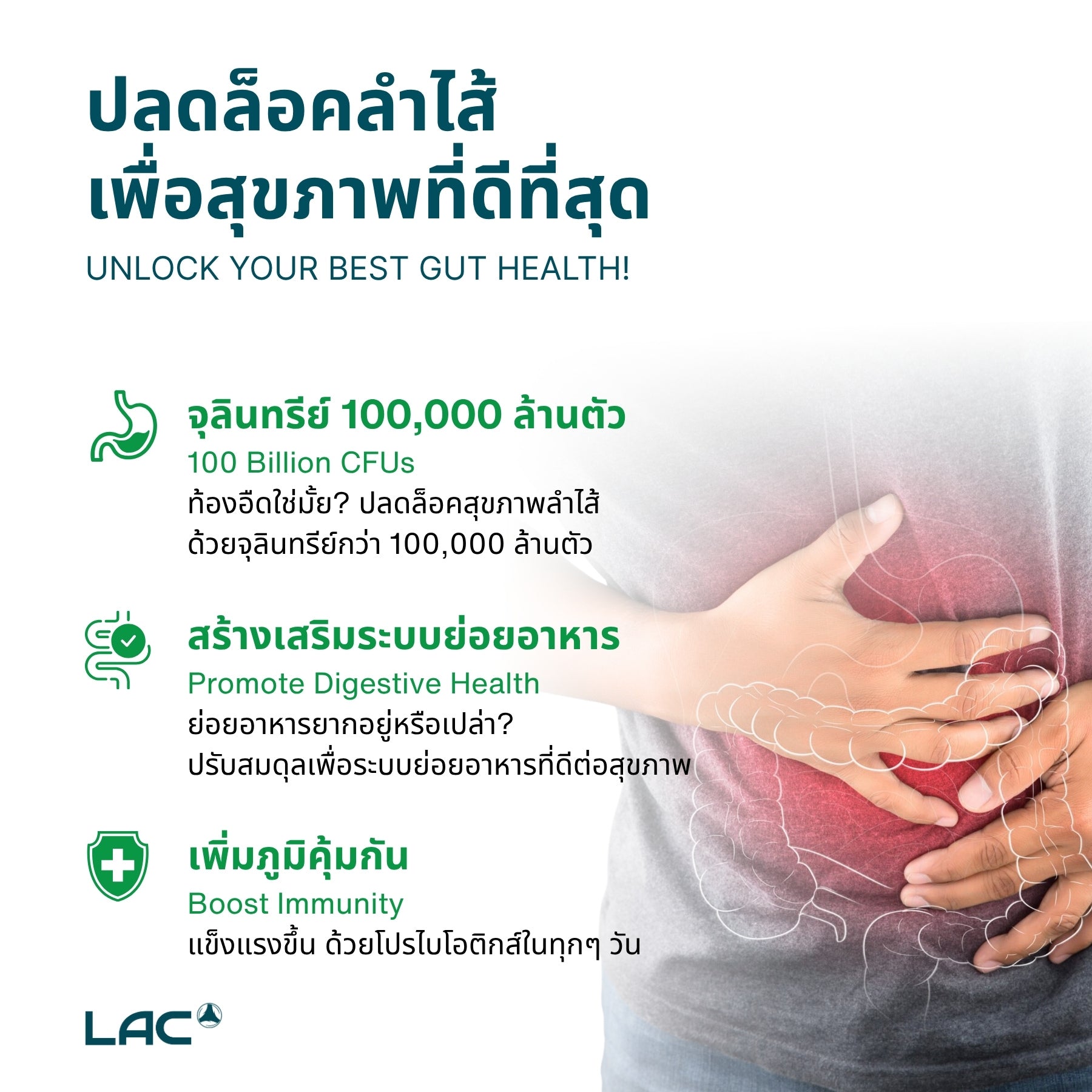 โปรไบโอติกคอมเพล็กซ์ 100 พันล้าน CFU - การสนับสนุนขั้นสูงสุด