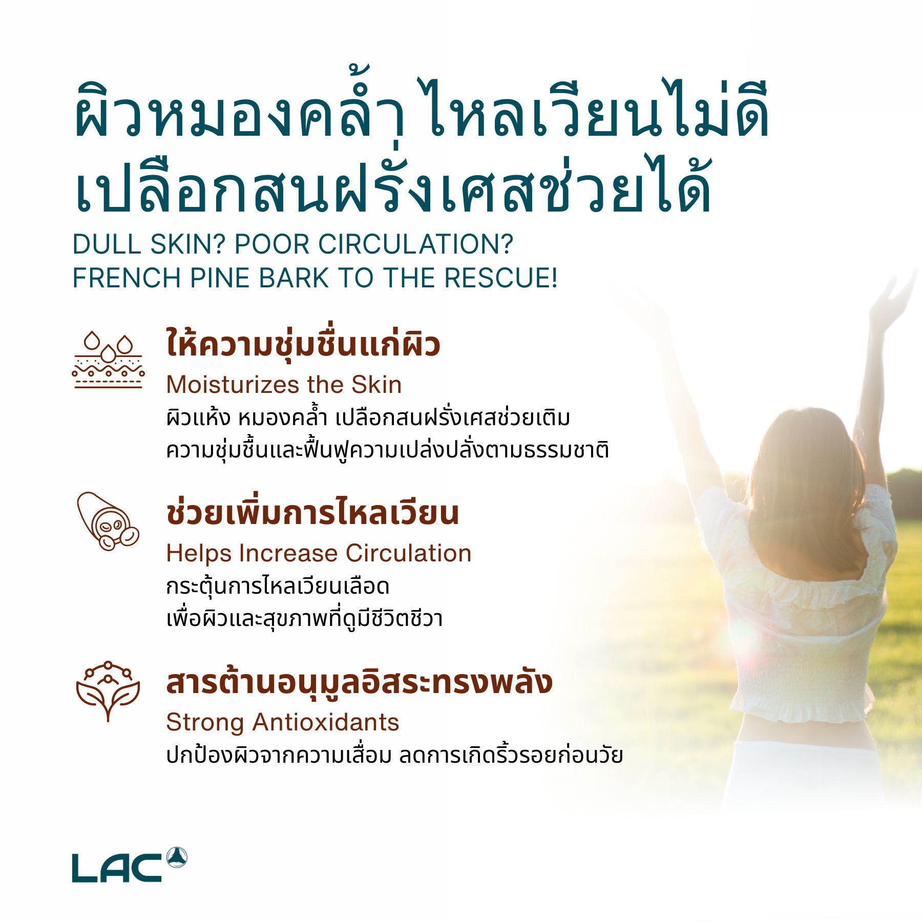 สารสกัดเปลือกไม้สนฝรั่งเศส - สารต้านอนุมูลอิสระที่ทรงพลัง