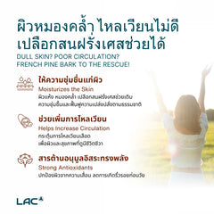 สารสกัดเปลือกไม้สนฝรั่งเศส - สารต้านอนุมูลอิสระที่ทรงพลัง