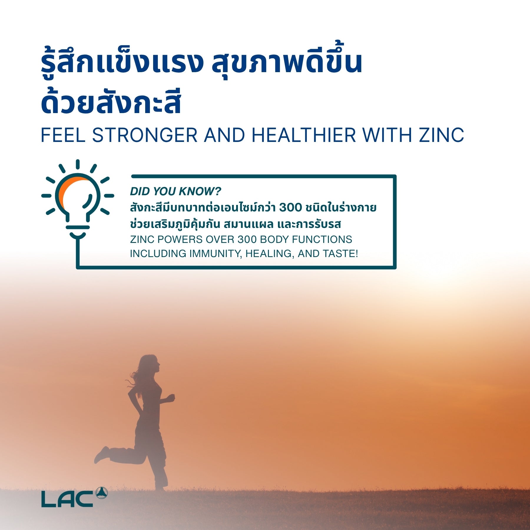 LAC Zinc 15mg 100 tabs