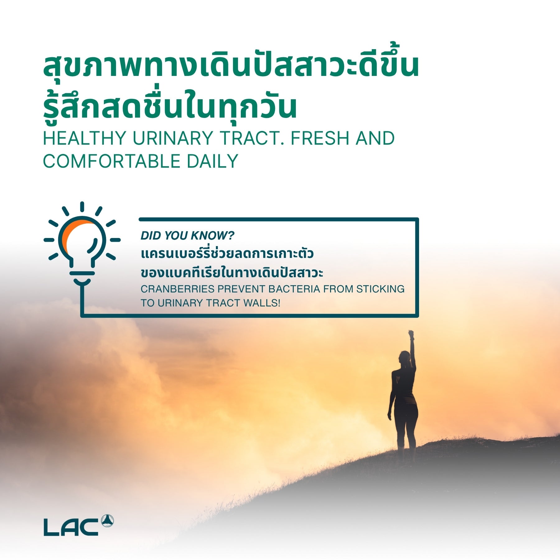 แครนเบอร์รี่ 500 มก.