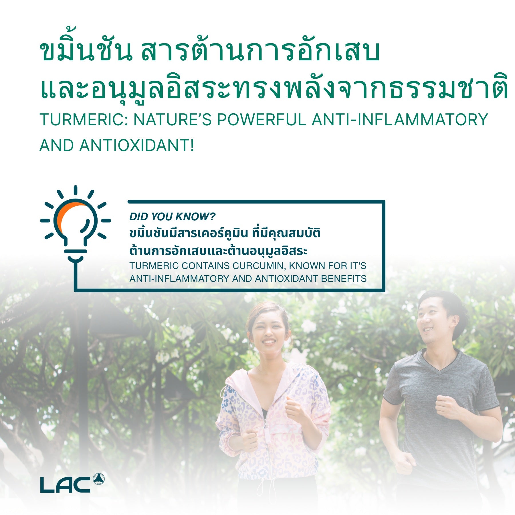 LAC Turmeric Curcumin 1055mg