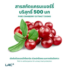 แครนเบอร์รี่ 500 มก.