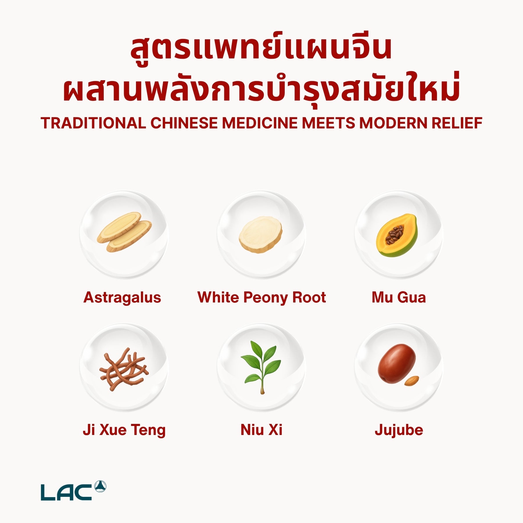 Nerve Protect ™ - สูตรบรรเทาอาการปวดตะโพก