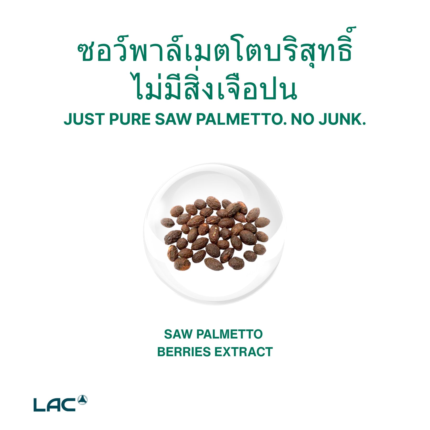 เห็นต้นปาล์ม