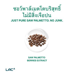 เห็นต้นปาล์ม