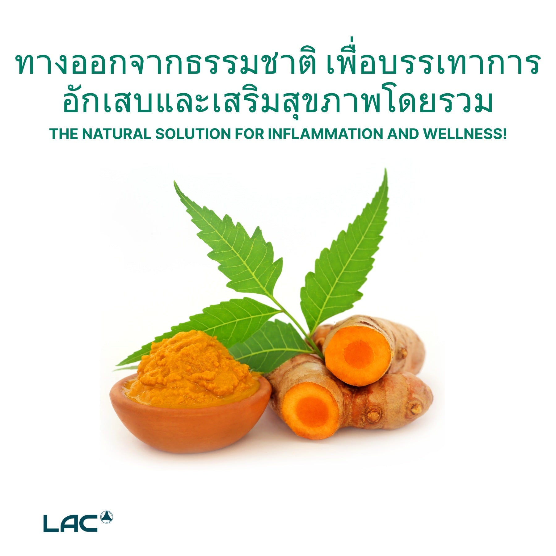 LAC Turmeric Curcumin 1055mg