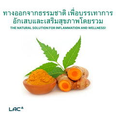 LAC Turmeric Curcumin 1055mg