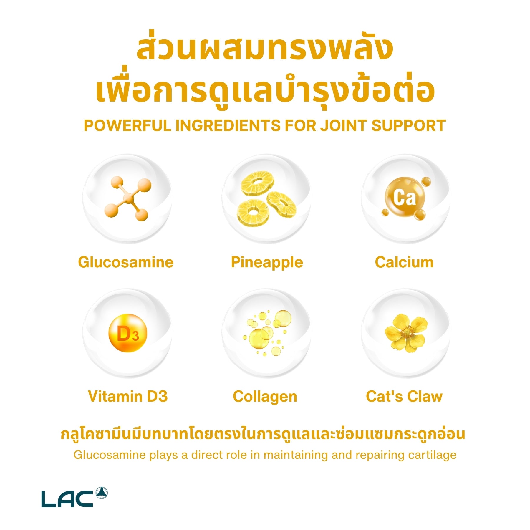 ข้อต่อProtec® - glucosamine chondroitin + คอลลาเจน