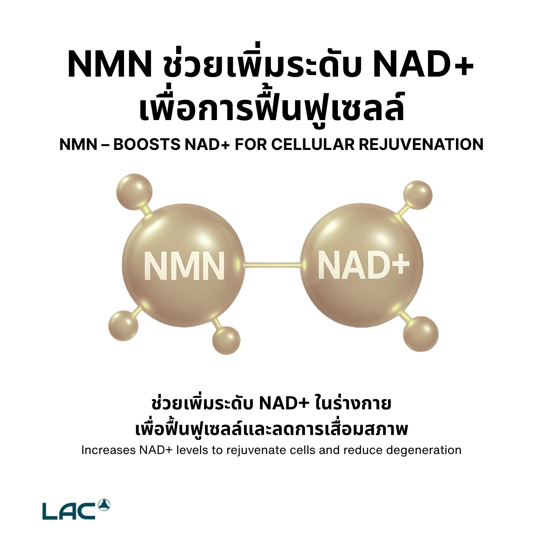 NMN 450 มก. - Ultimate NAD+ Booster