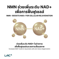 NMN 450 มก. - Ultimate NAD+ Booster