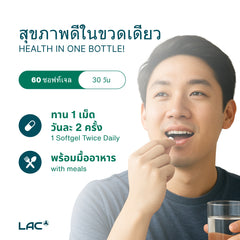 เห็นต้นปาล์ม