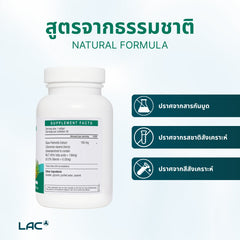 เห็นต้นปาล์ม