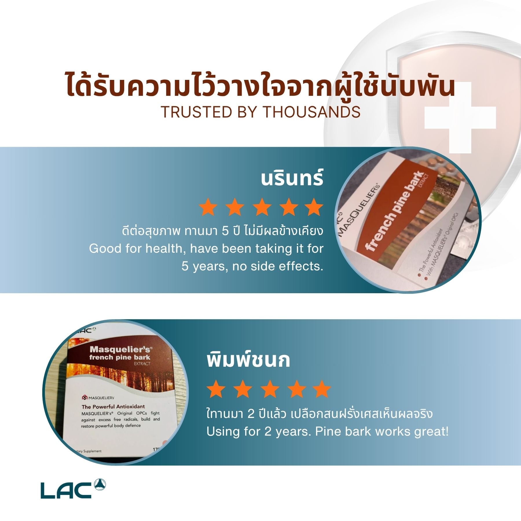 สารสกัดเปลือกไม้สนฝรั่งเศส - สารต้านอนุมูลอิสระที่ทรงพลัง