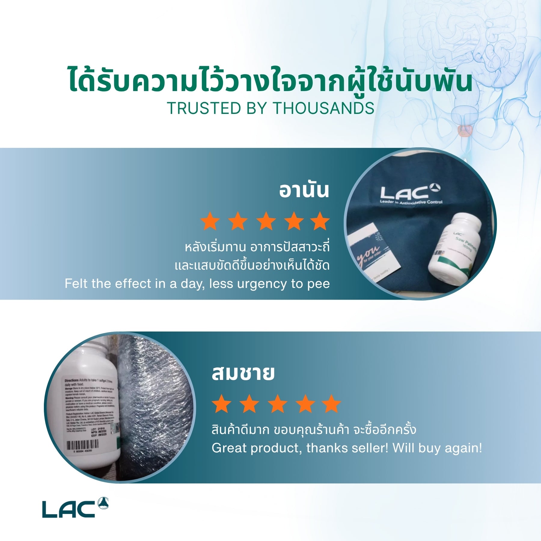 เห็นต้นปาล์ม