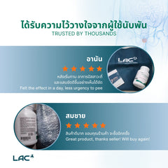 เห็นต้นปาล์ม