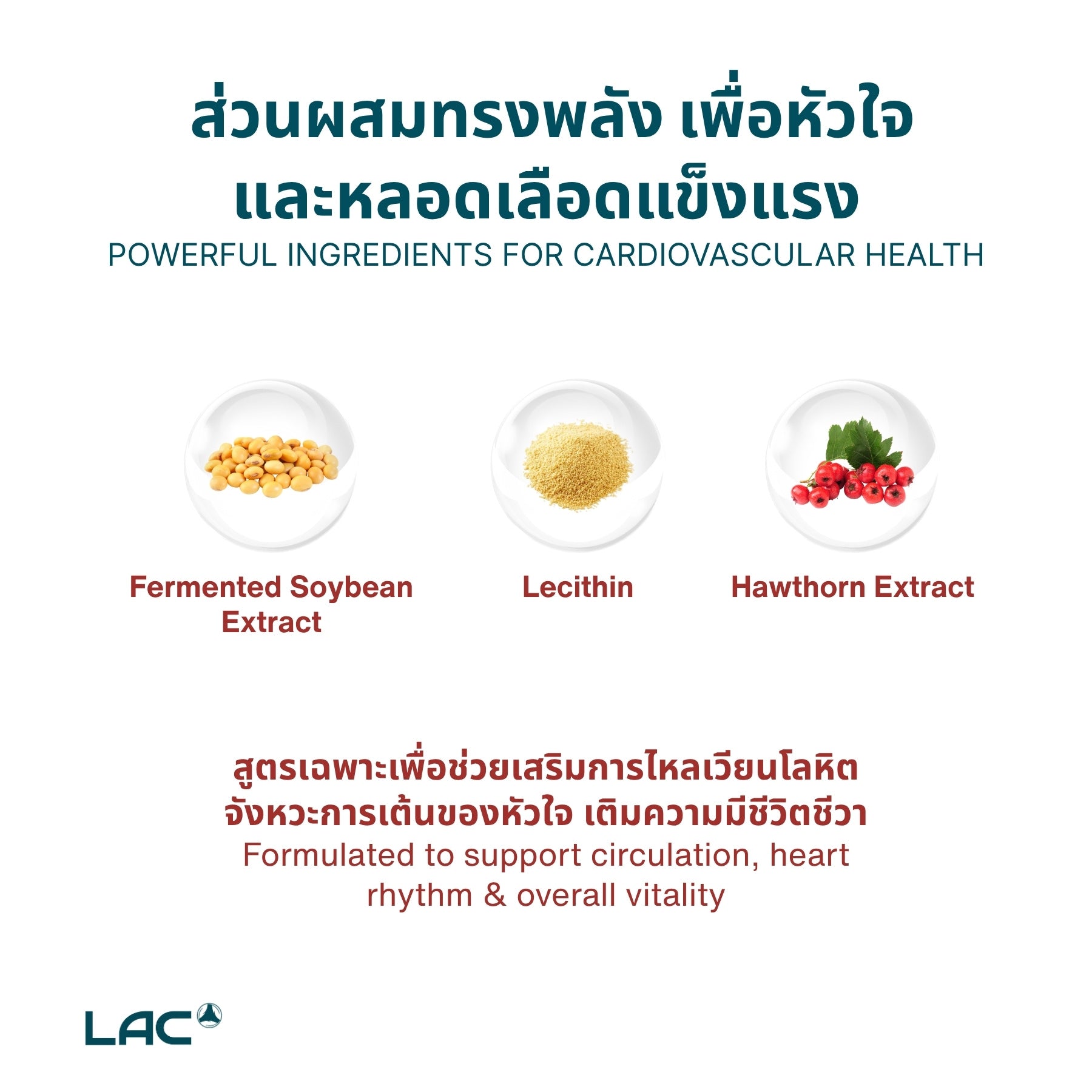 Heart Protect ™ - Nattokinanse Hawthorn Lecithin ผสมผสาน