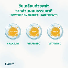 Calcium Fit ™ Junior - กระดูกและฟันที่แข็งแรง