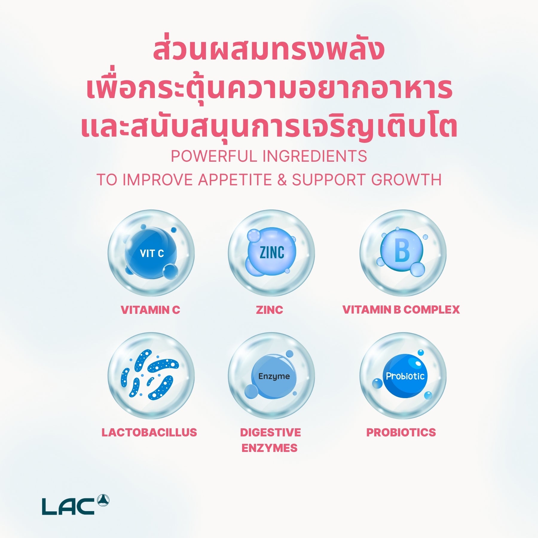 Appetise ™ junior - สำหรับนักกินที่พิถีพิถัน