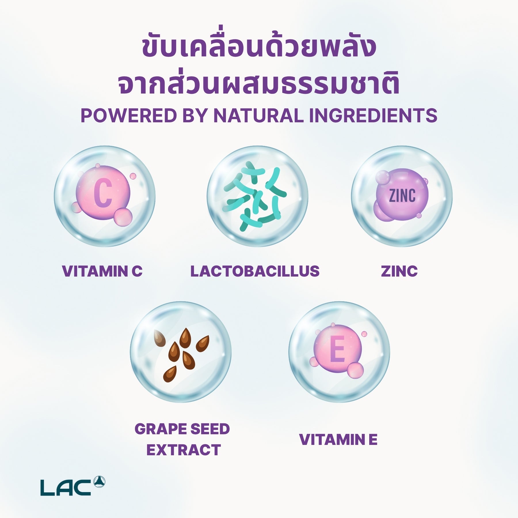 Immuguard ™ Junior - การสนับสนุนภูมิคุ้มกันและระบบย่อยอาหารที่สมบูรณ์