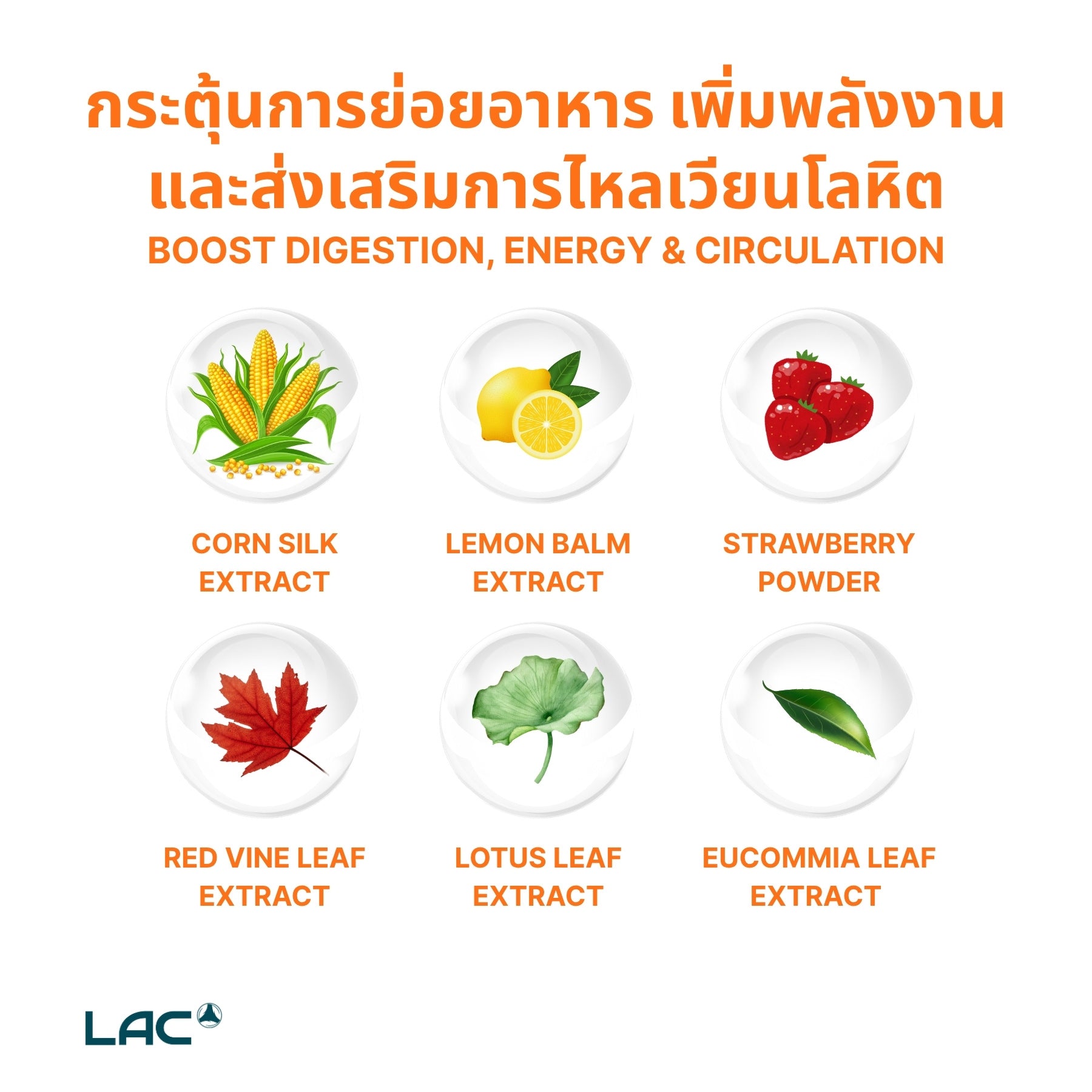 Belli Lean ™ - Tummy Fat Blaster