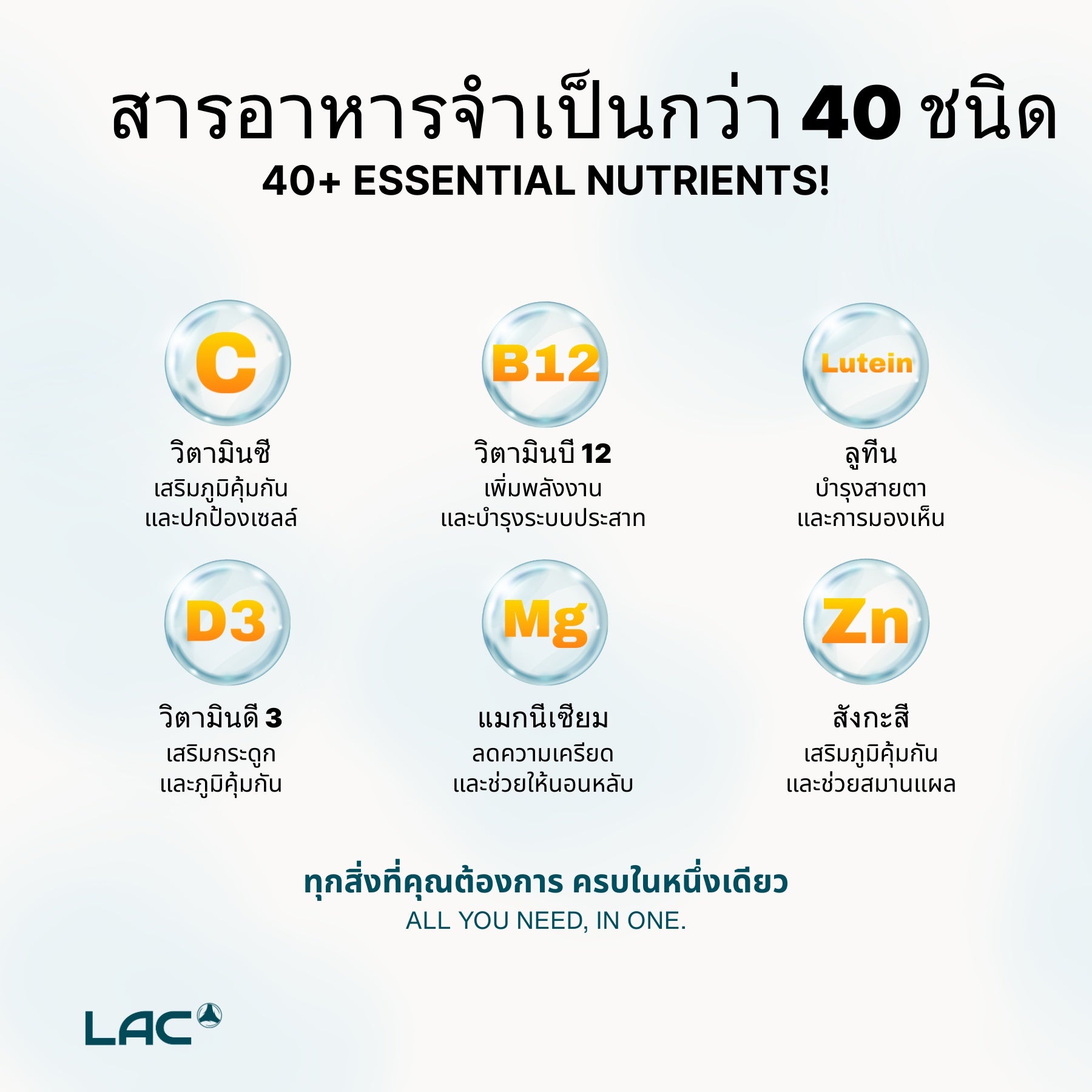 LAC Men's Mega Multi Active